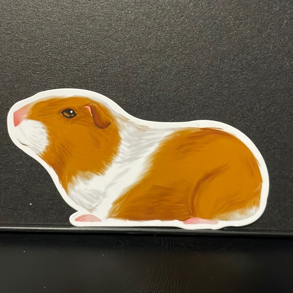 GUINEA PIG STICKER - Picture 1 of 1